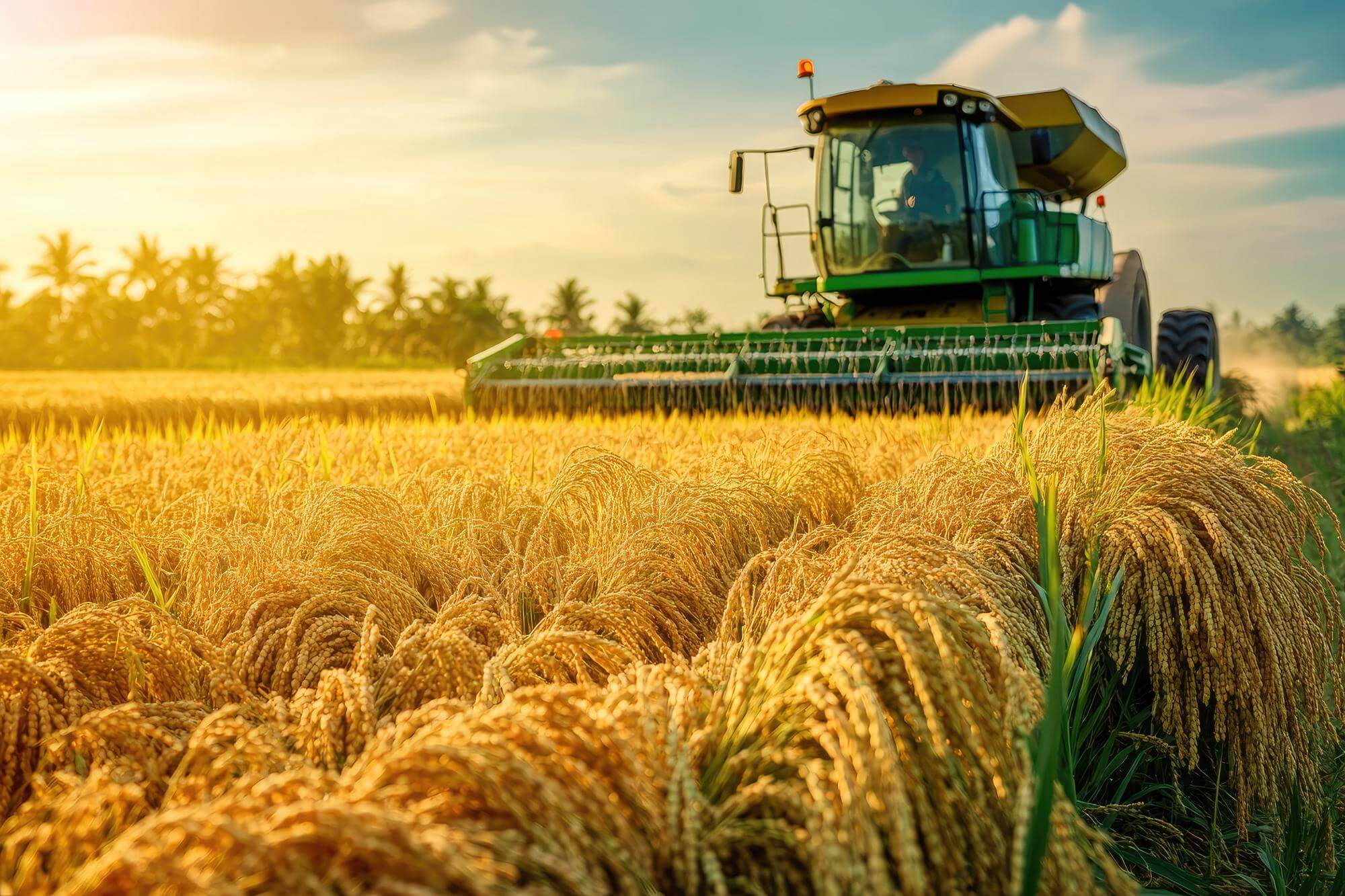 agriculture and talc stone agriculture and talc stone